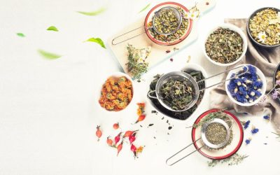 10 Powerful Nigerian Herbs for Immunity and Everyday Wellness