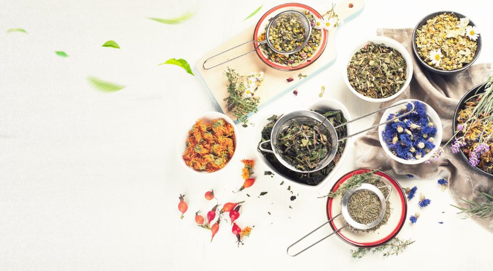 10 Powerful Nigerian Herbs for Immunity and Everyday Wellness