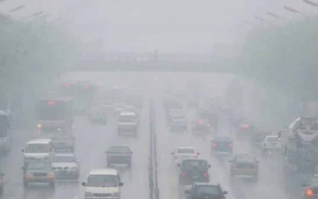 How to Beat Harmattan Naturally: Best Oils, Teas, and Remedies