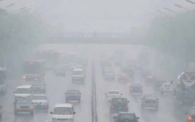 How to Beat Harmattan Naturally: Best Oils, Teas, and Remedies